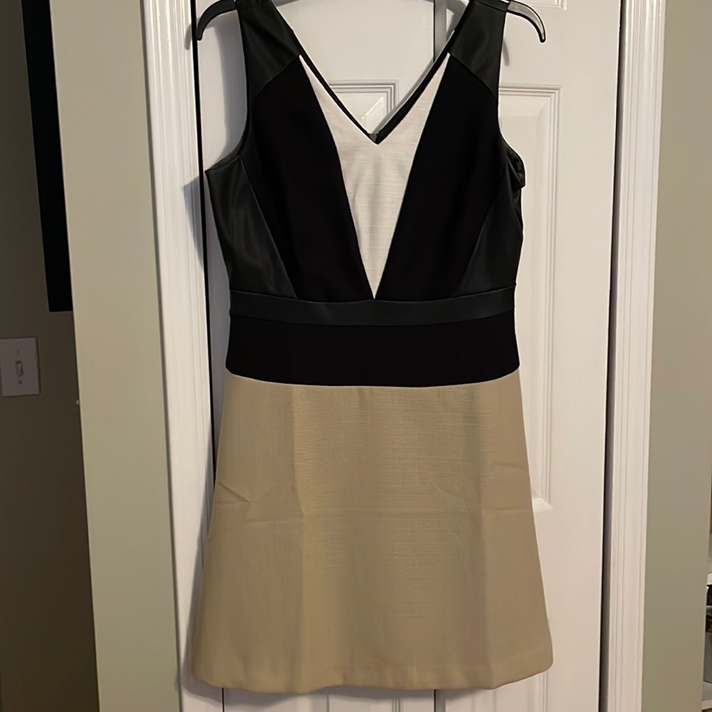 Brand New Ann Taylor Dress